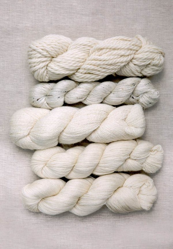 Buy Novelty Sample Pack - Undyed Yarn