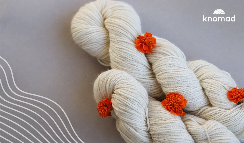 Natural Dyes for Wool: Marigolds