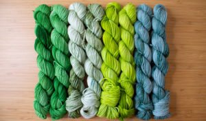 Finished skeins dyed