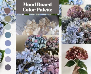mood-board-color-palette