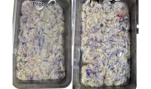 Protein/Cellulose